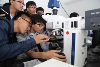 創(chuàng)新引領(lǐng)共享發(fā)展 金屬材料強(qiáng)度國家重點實驗室主題開放日活動舉行